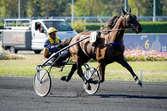 Pronostic Quinte 16 juillet 2021 Grand National du Trot aux Sables d'Olonne