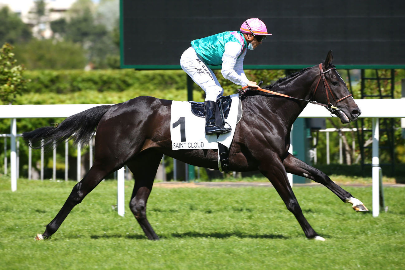 Pronostic Turf Gratuit - Mardi 27 juillet 2021 - Chevaux du jour Coteur