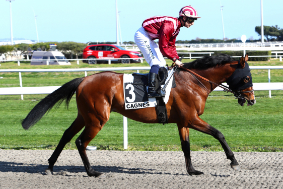 Pronostic Quinte Gratuit 20 juillet 2021 Prix Vichy Communauté à Vichy