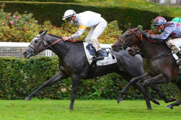 Pronostic Quinte Gratuit 22 juillet 2021 Prix de la Vénus de Paris à Longchamp