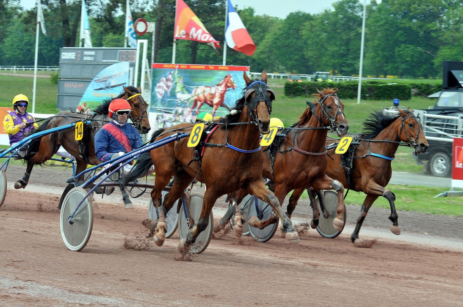 Pronostic Quinte Gratuit 24 novembre 2021 Grand National du Trot au Mans