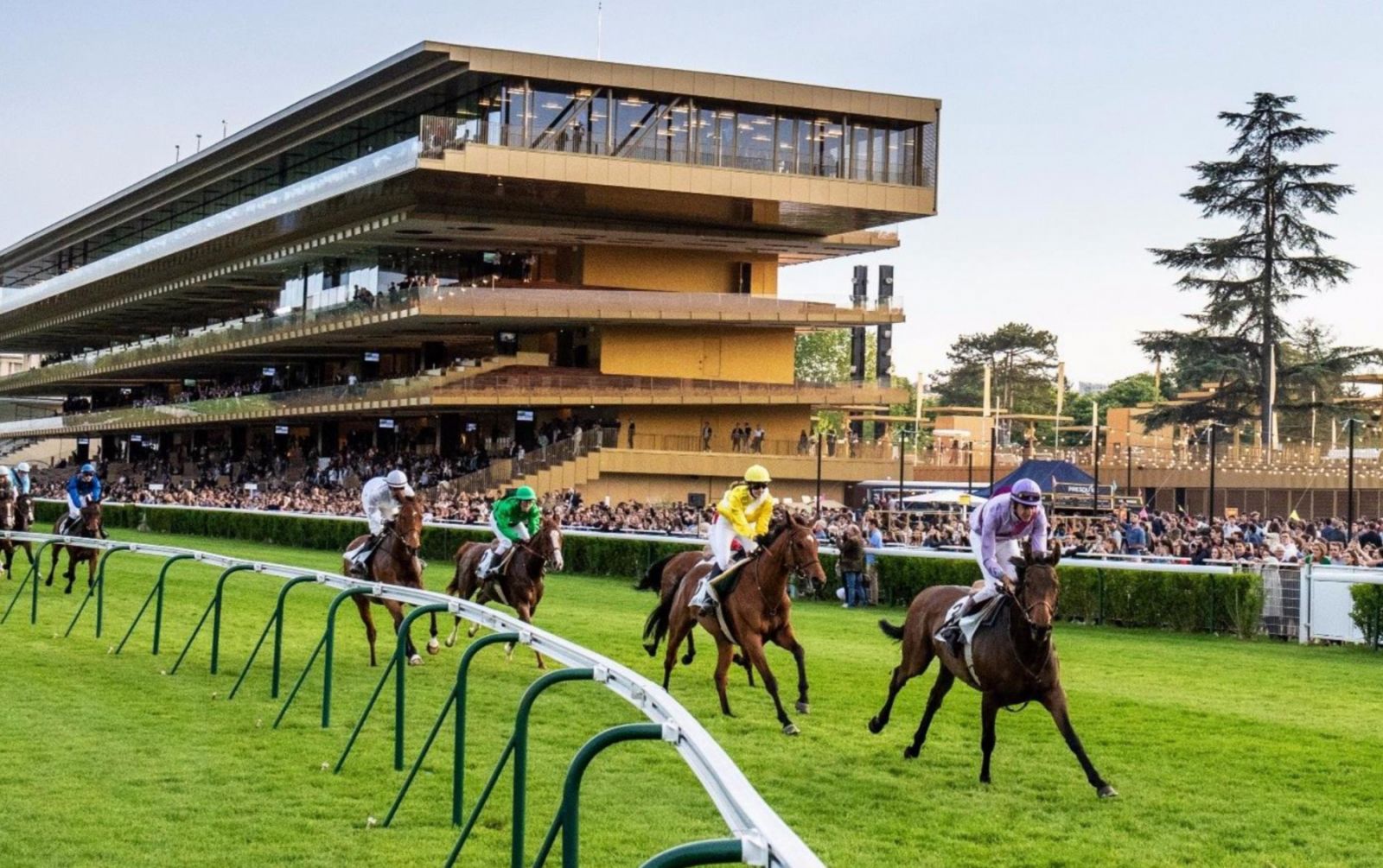 Pronostic Turf Gratuit - Jeudi 22 juillet 2021 - Chevaux du jour Coteur