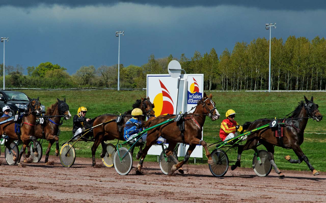 Pronostic Turf Gratuit : Vendredi 16 juillet 2021 Sables d'Olonne