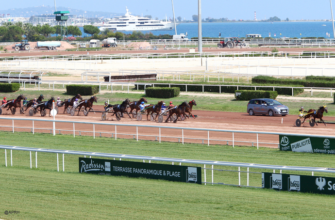 Pronostic Gratuit Quinte 27 janvier 2021 à Cagnes sur Mer
