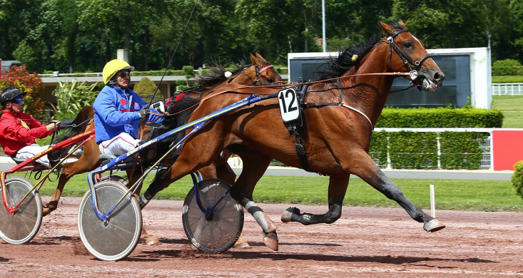 Pronostic Quinté 18 juillet 2020 Prix de Buenos Aires à Enghien