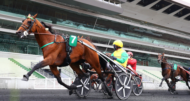 Pronostic Gratuit Quinte 29 août 2020 à Vincennes