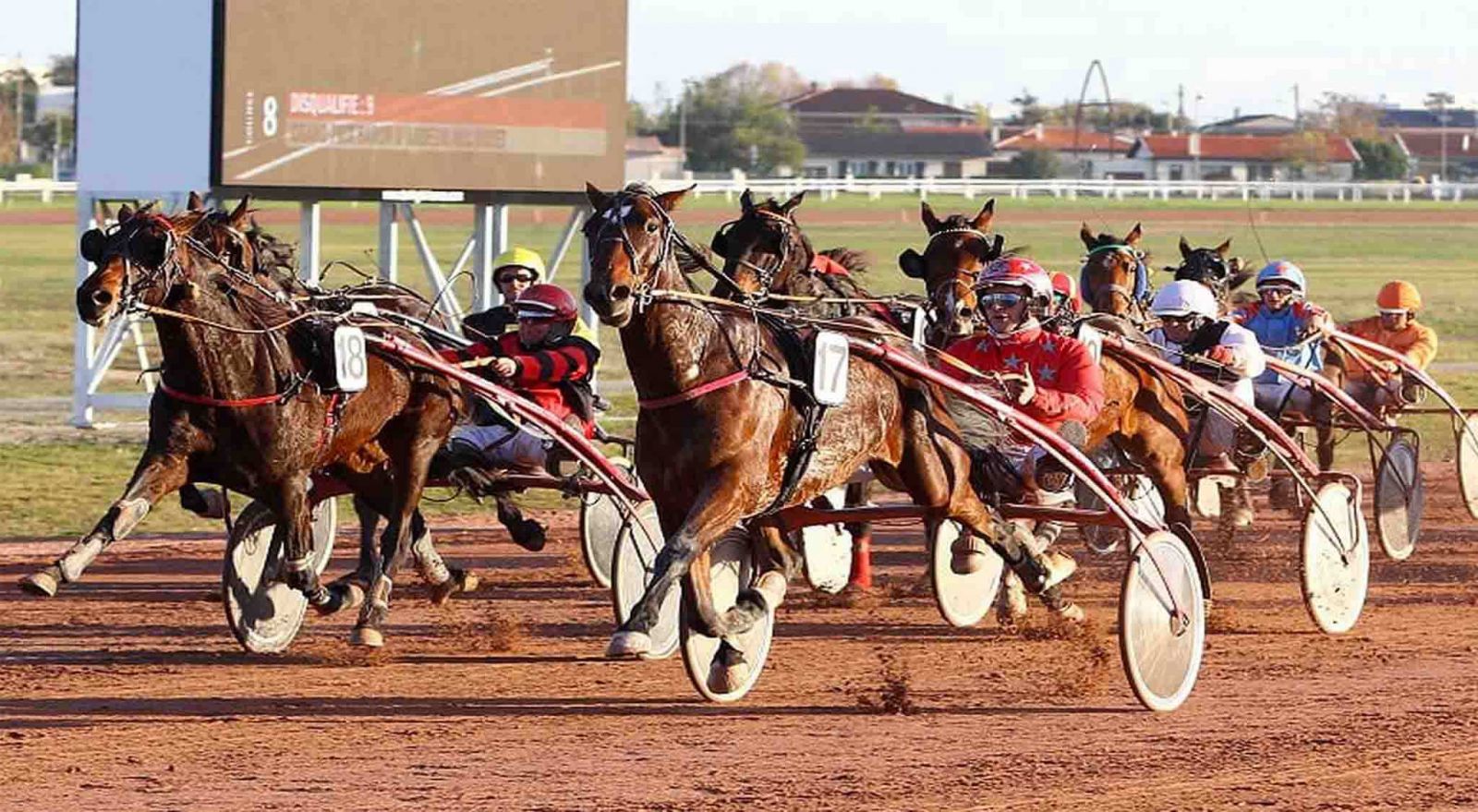 Pronostic Gratuit Quinte 10 novembre 2020 à Bordeaux