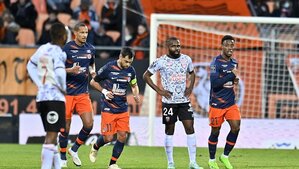 Pronostic Montpellier Lorient GRATUIT Ligue 1